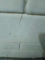 2 BHK 900 Sq.Ft. Builder Floor in Rudra Homes Shalimar Gard