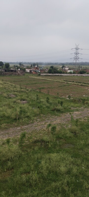 Plot Area in  Plot at Sherpur – for Sale