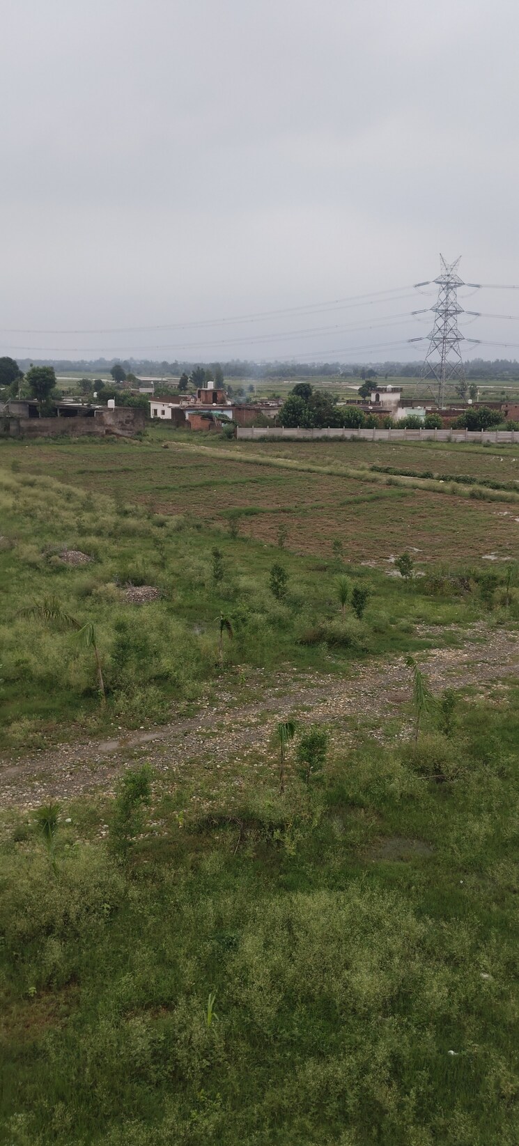 undefined, sherpur  1800 Sq.Ft. Plot In Sherpur Dehradun 8904169