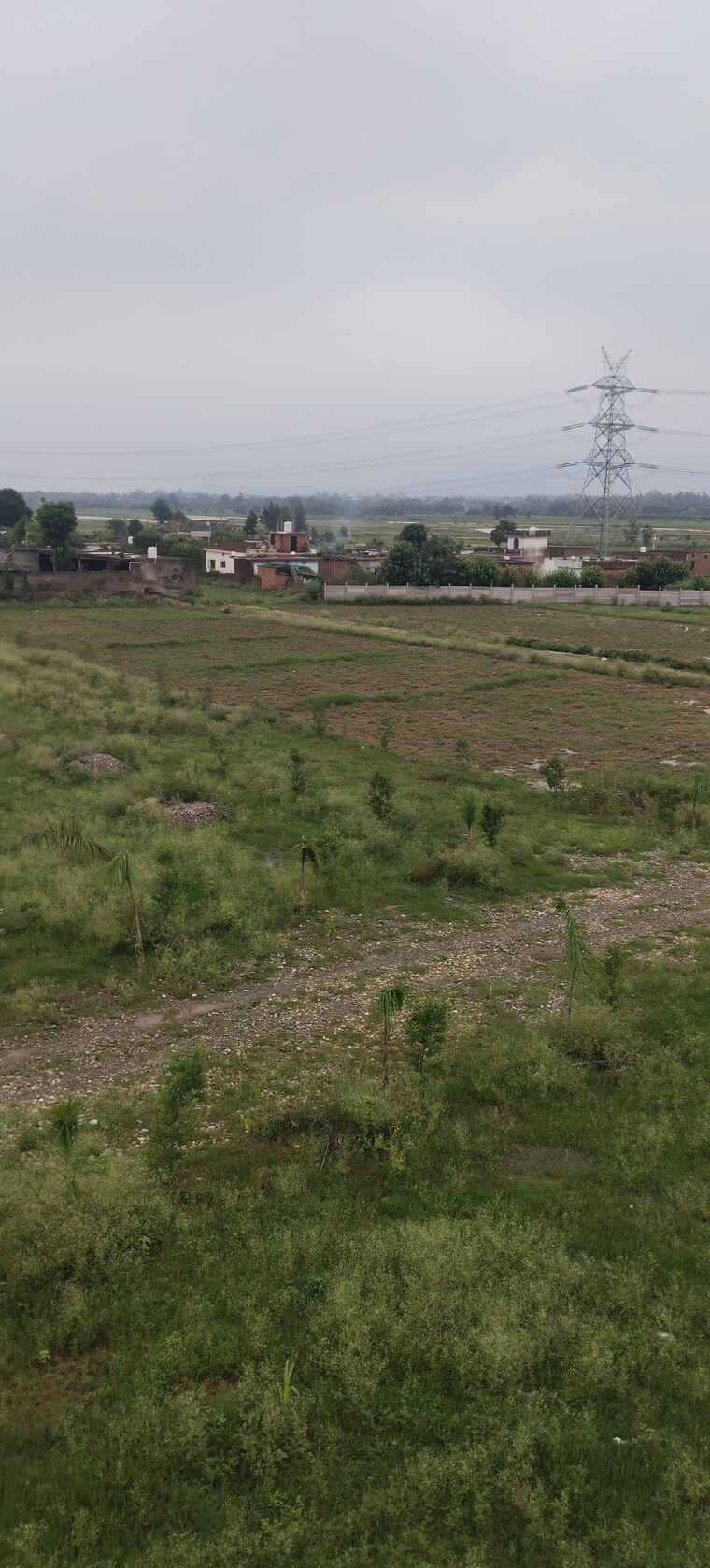 undefined, sherpur  1800 Sq.Ft. Plot In Sherpur Dehradun 8904169