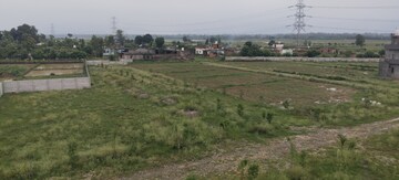 Plot Area in  Plot at Sherpur – for Sale