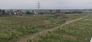  Plot For Sale in Sherpur