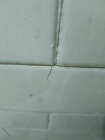 2 BHK 800 Sq.Ft. Builder Floor in Rudra Homes Shalimar Gard