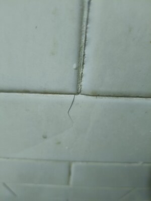 2 BHK Builder Floor For Sale in Aimnabad