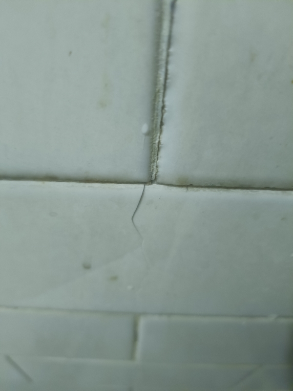 2 BHK Builder Floor For Sale in Rudra Homes Shalimar Gard