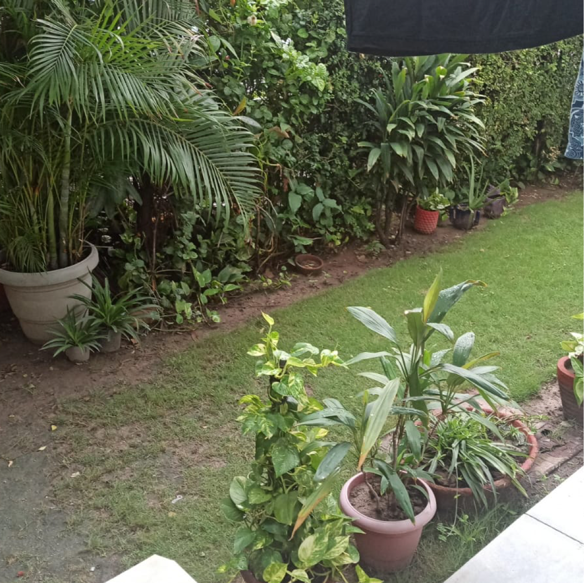 1.5 BHK + Extra Room Apartment For Rent in Rwa Jalvayu Vihar Noida