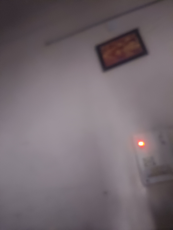 3 BHK + Extra Room Builder Floor For Sale in Rudra Homes Shalimar Gard