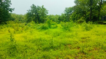  Plot For Sale in Pali