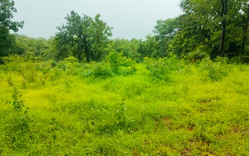 Plot For Sale in Pali