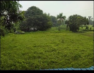 4 BHK Villa – Garden View at Ghod Dod Road - for Sale