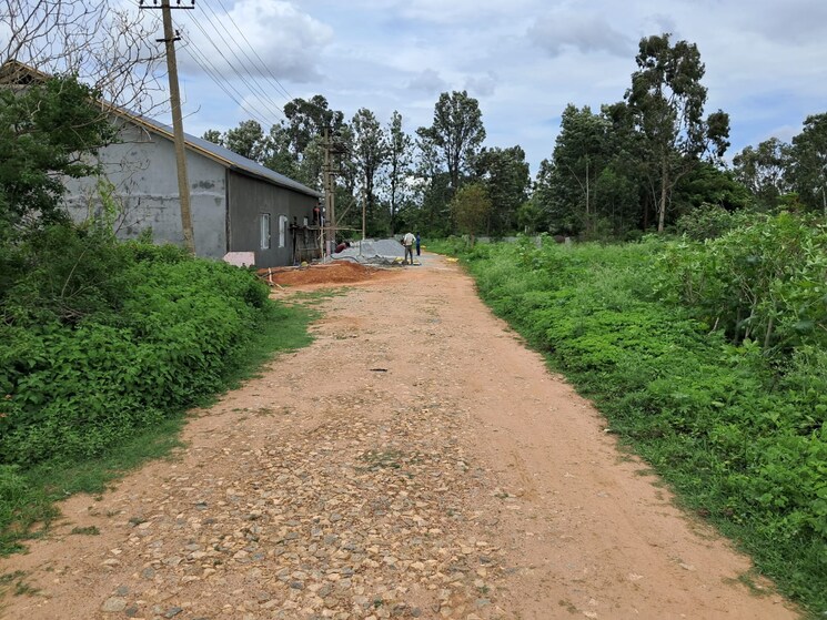 undefined, regency-salma 3 Bedroom 2784 Sq.Ft. Apartment In Richards Town Bangalore 8904548