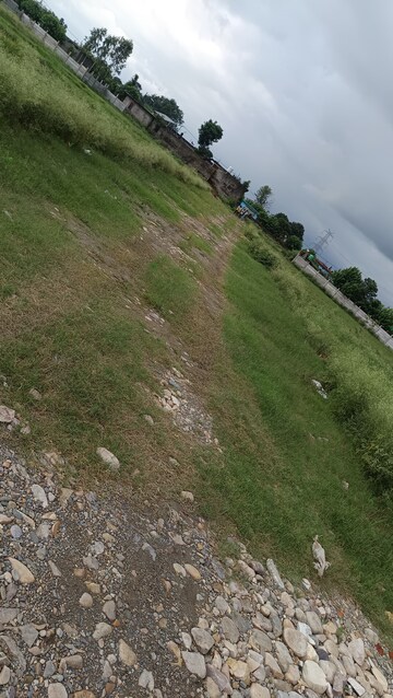 Plot Area in  Plot at Shimla Bypass Road – for Sale
