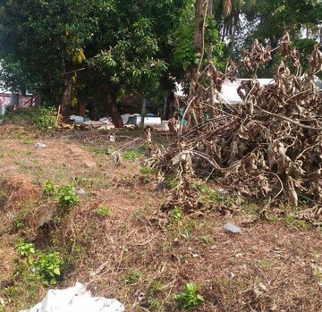  Plot For Sale in Mannuthy