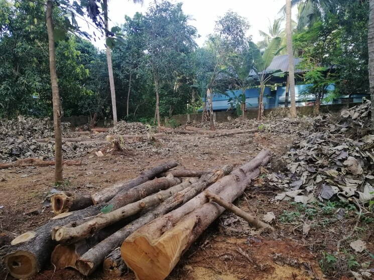 undefined, mannuthy  3375 Sq.Ft. Plot In Mannuthy Thrissur 8904578