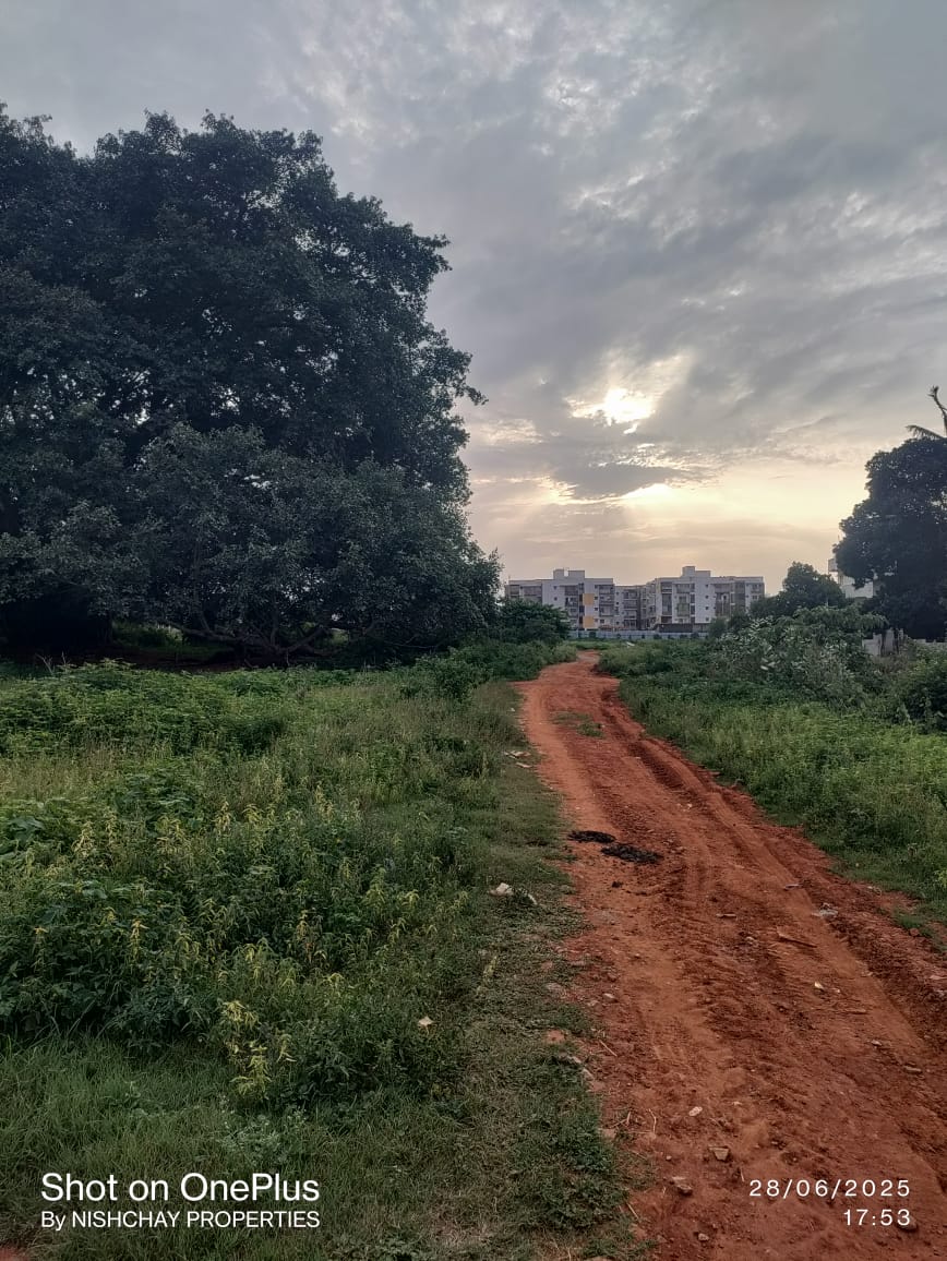 Plot For Sale in Nishchay