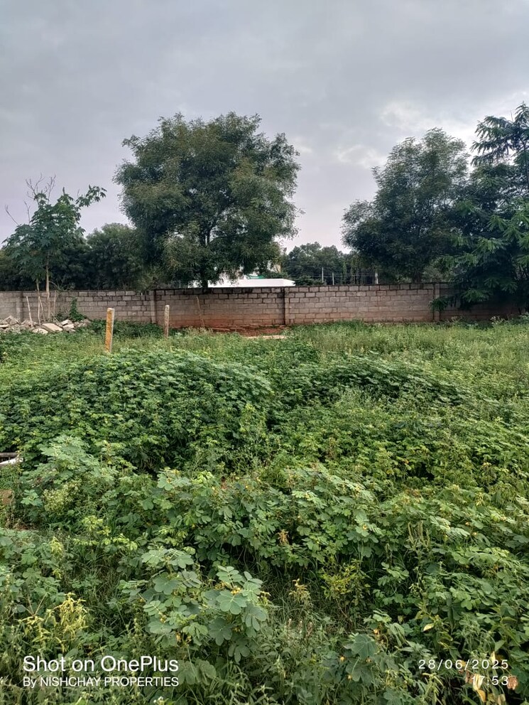 undefined, yelahanka  2640 Sq.Ft. Plot In Yelahanka Bangalore 8904737