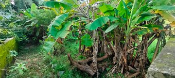 Plot Area in  Plot at Punkunnam – for Sale
