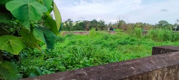 Plot Area in  Plot at Punkunnam – for Sale