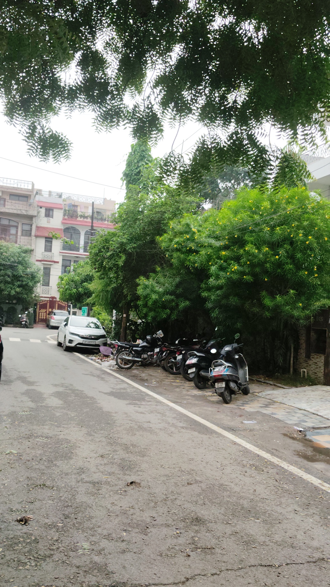 6 BHK Independent House For Sale in Sector 53