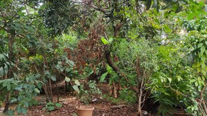  Plot – Garden View at Horamavu - for Sale