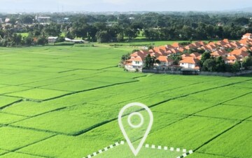 Plot For Sale in Shyam Dholera Global City, Dholera