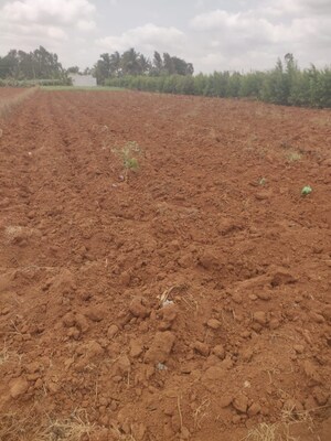  Plot For Sale in Sahakara Nagar