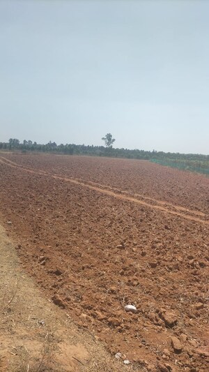  Land For Sale in Ganga Nagar