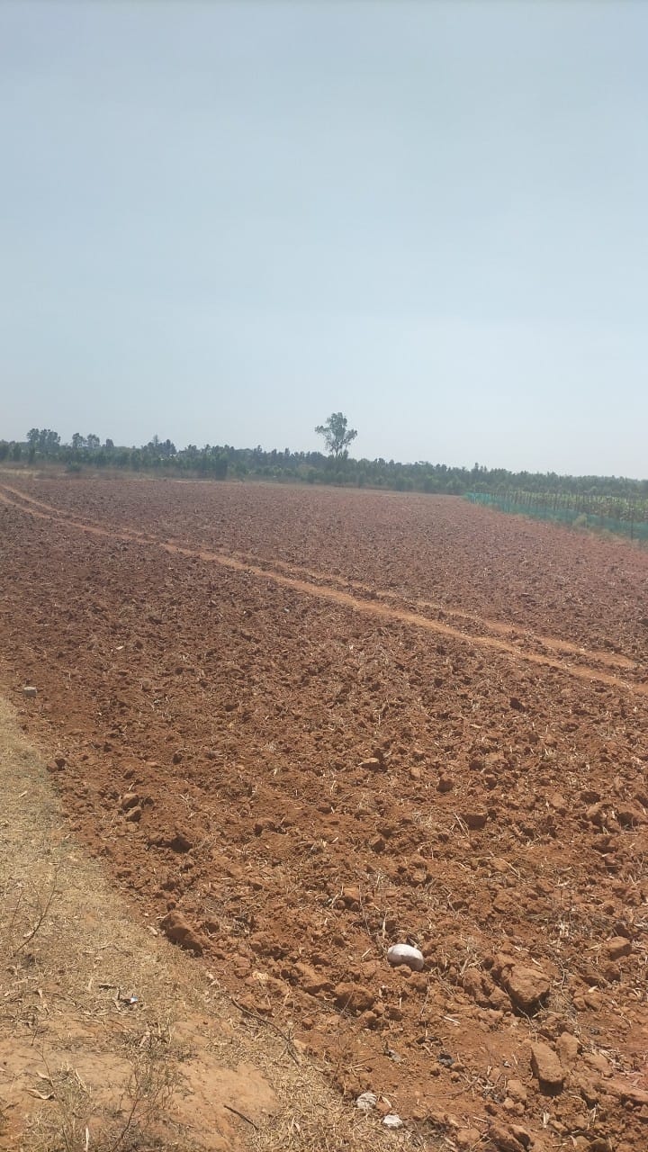 Land For Sale in Ganga Nagar