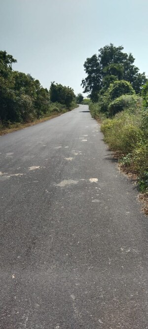 Plot Area in  Plot at Rt Nagar – for Sale