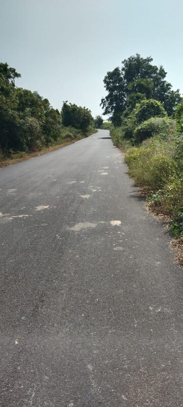 Plot Area in  Plot at Rt Nagar – for Sale