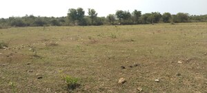 Plot Area in  Plot at Rt Nagar – for Sale
