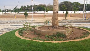  Plot – Garden View at Panjappur - for Sale