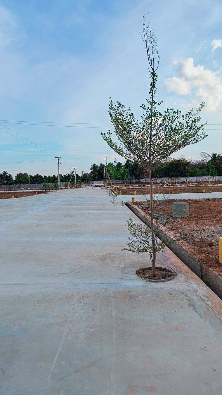 Exterior View, panjappur  2380 Sq.Ft. Plot In Panjappur Trichy 8905830