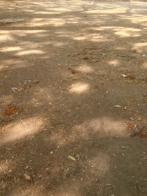  Plot For Sale in Ambazari