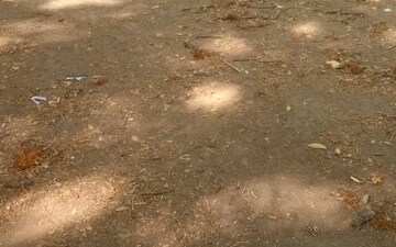 Plot For Sale in Ambazari