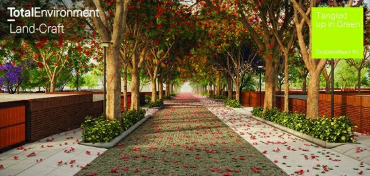 Garden, total-environment-tangled-up-in-the-green  4500 Sq.Yd. Plot In Devanahalli Bangalore 8906008