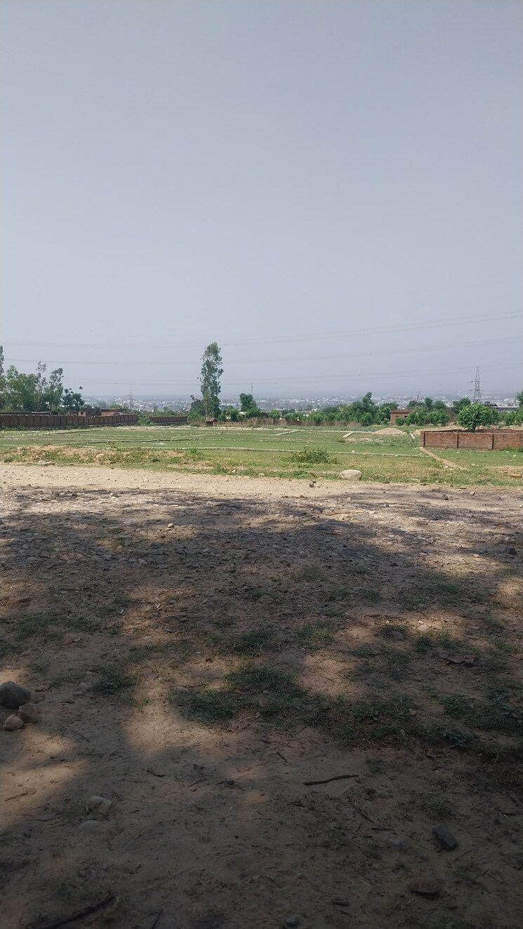 undefined, sherpur  241 Sq.Yd. Plot In Sherpur Dehradun 8906178