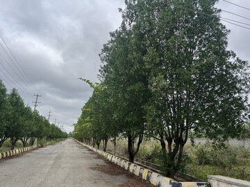  Land – Exterior View View at Chikka Tirupathi - for Sale