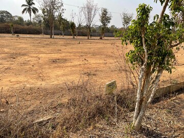  Plot For Sale in Devanahalli