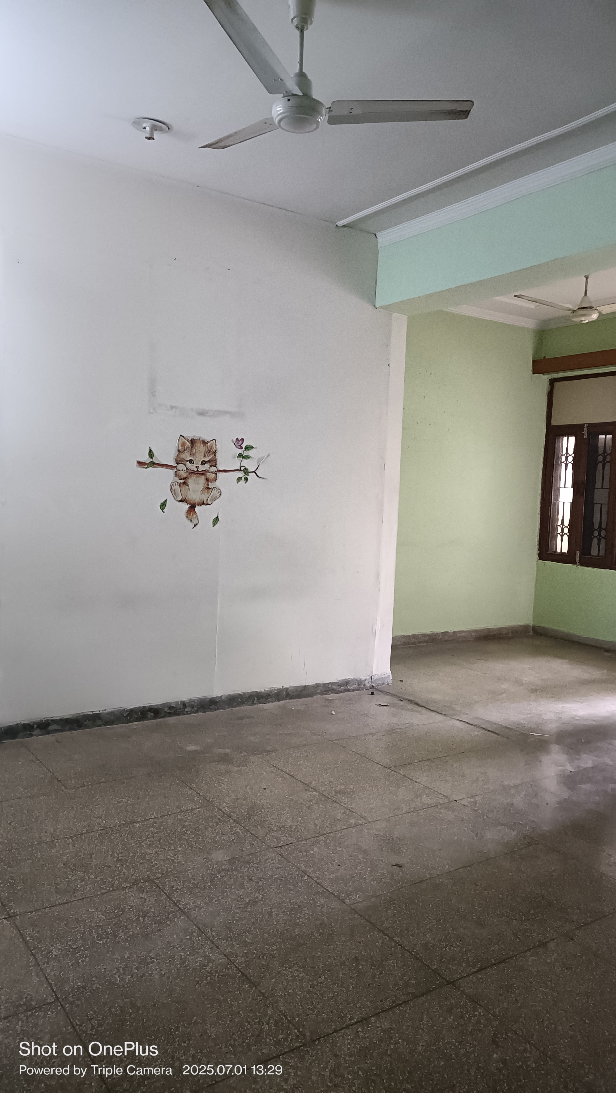 2 BHK + Pooja Room Builder Floor For Rent in Ashoka Enclave 3