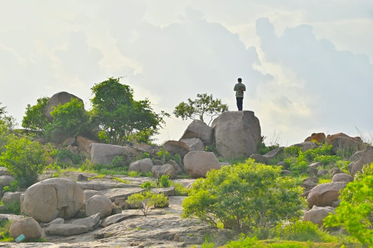 undefined, aliens-hub  200 Sq.Yd. Plot In Kadthal Hyderabad 8906803