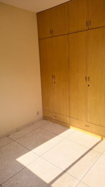 2.5 BHK Apartment For Rent in DLF The Princeton Estate, Dlf Phase V