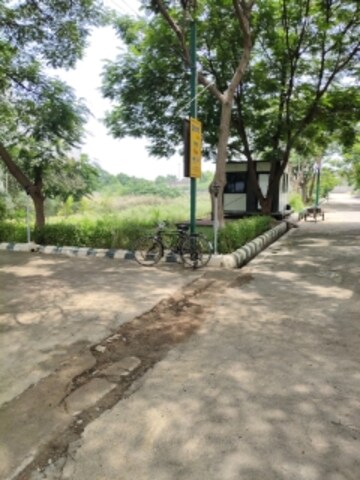 Plot Area in  Plot at Bithoor – for Sale
