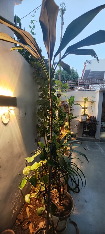 Balcony in 3 BHK Independent House at Gomti Nagar – for Rent