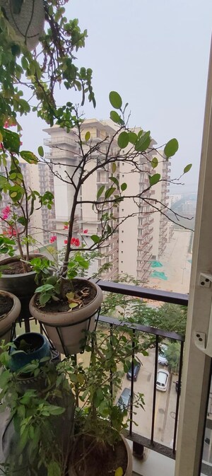 Master Bedroom in 2 BHK Apartment at ROF Aalayas, Sector 102 – for Sale