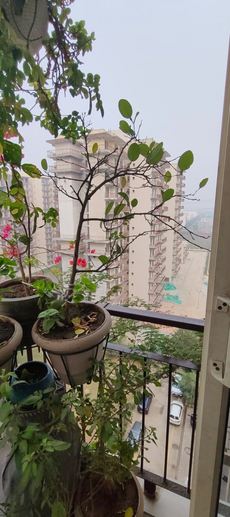 Master Bedroom, rof-aalayas 2 Bedroom 574 Sq.Ft. Apartment In Sector 102 Gurgaon 8907252