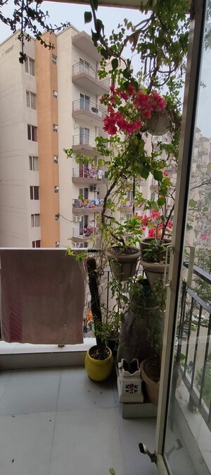 Balcony in 2 BHK Apartment at ROF Aalayas, Sector 102 – for Sale