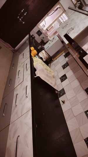 Kitchen in 3 BHK Independent House at Mahalaxmi Nagar – for Sale