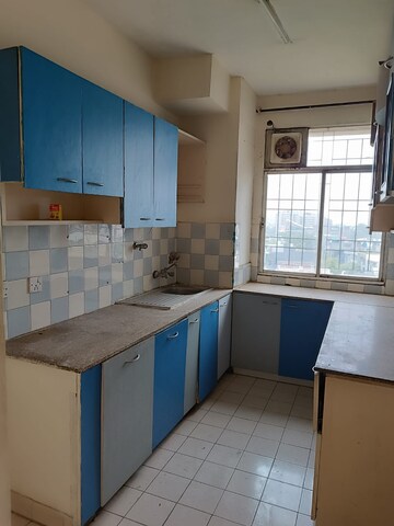 Kitchen in 4 BHK Apartment at DLF Oakwood Estate, Dlf Phase ii – for Rent