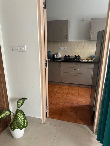Furnished Amenities in 3 BHK Builder Floor at Hsr Layout – for Rent